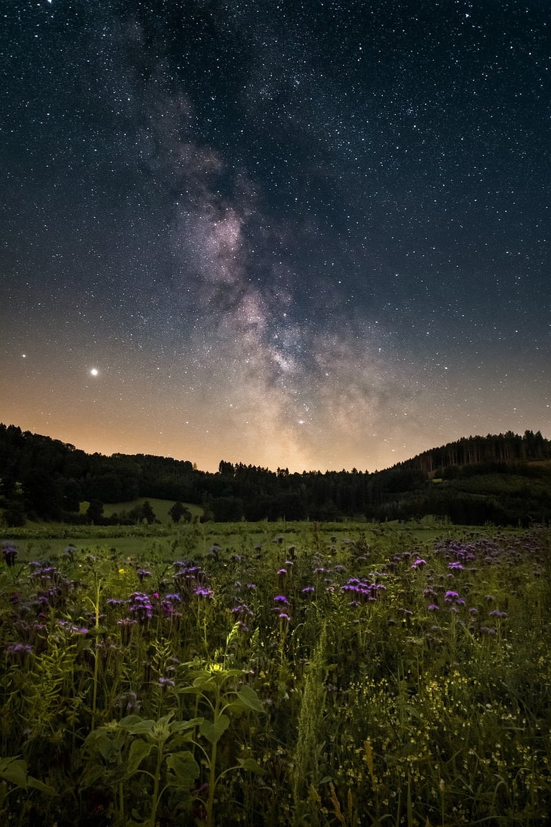 Galactic Ballads