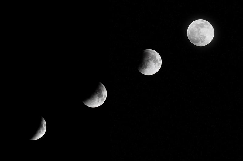 Moon Phase Wall Art